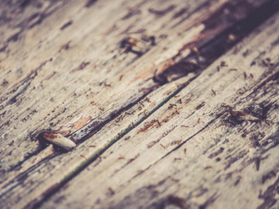 Post With Multiple Featured Images